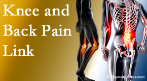 Manahawkin Chiropractic Center treats back pain and knee osteoarthritis to help avert falls.
