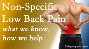 Manahawkin Chiropractic Center describes the specific characteristics and treatment of non-specific low back pain. 