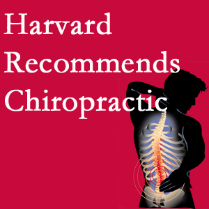 Manahawkin Chiropractic Center offers chiropractic care like Harvard recommends.