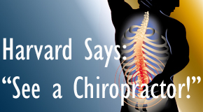 Manahawkin chiropractic for back pain relief urged by Harvard