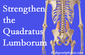 Manahawkin chiropractic care proposes exercise recommendations to strengthen spine muscles like the quadratus lumborum as the back heals and recovers.