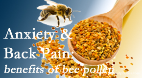 Manahawkin Chiropractic Center presents info on the benefits of bee pollen on cognitive function that may be impaired when dealing with back pain.
