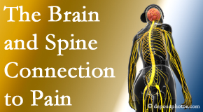 Manahawkin Chiropractic Center shares at the connection between the brain and spine in back pain patients to better help them find pain relief.