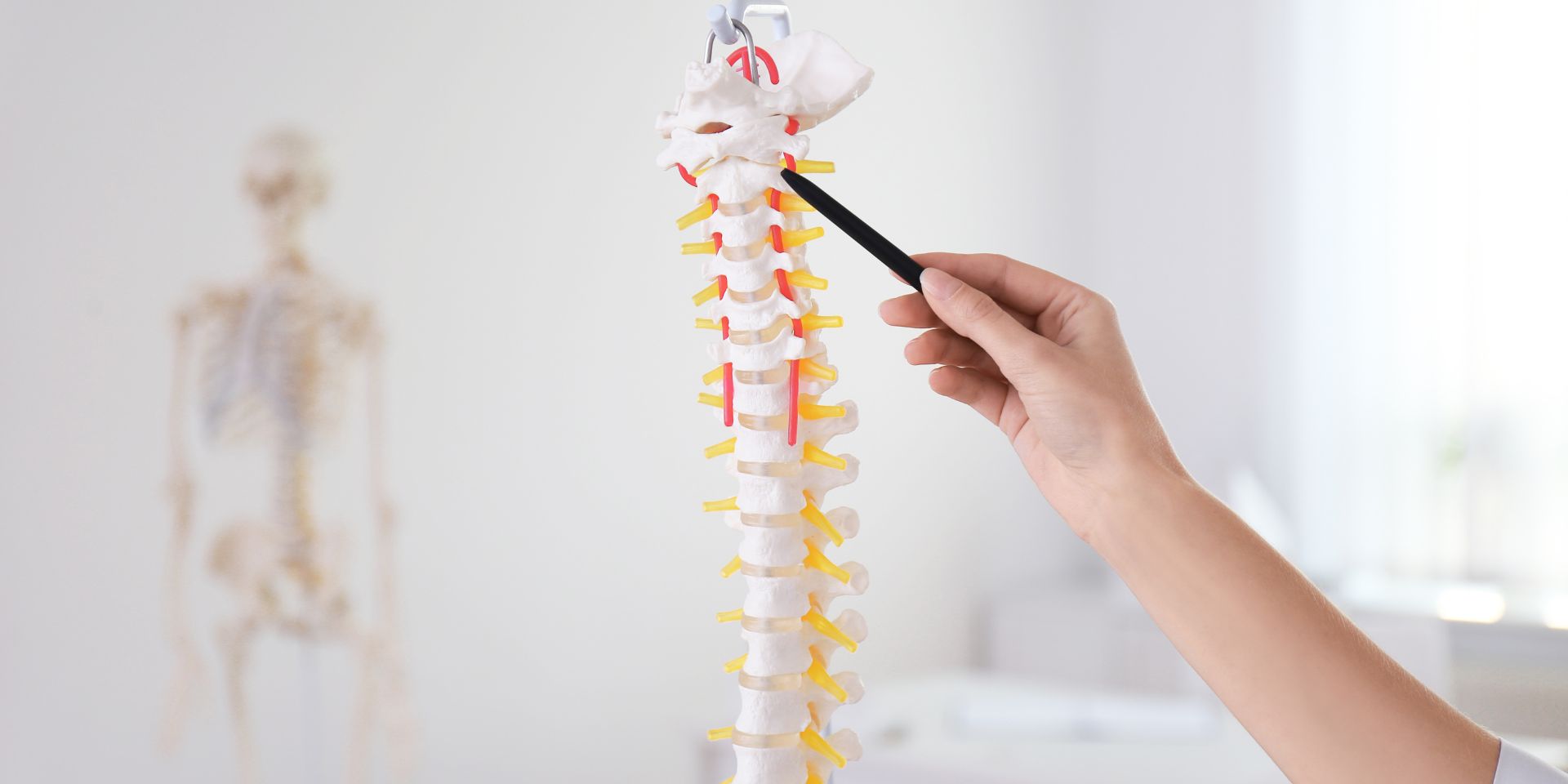 Manahawkin Chiropractic Center - Chiropractic in Long Beach, NJ, view 6