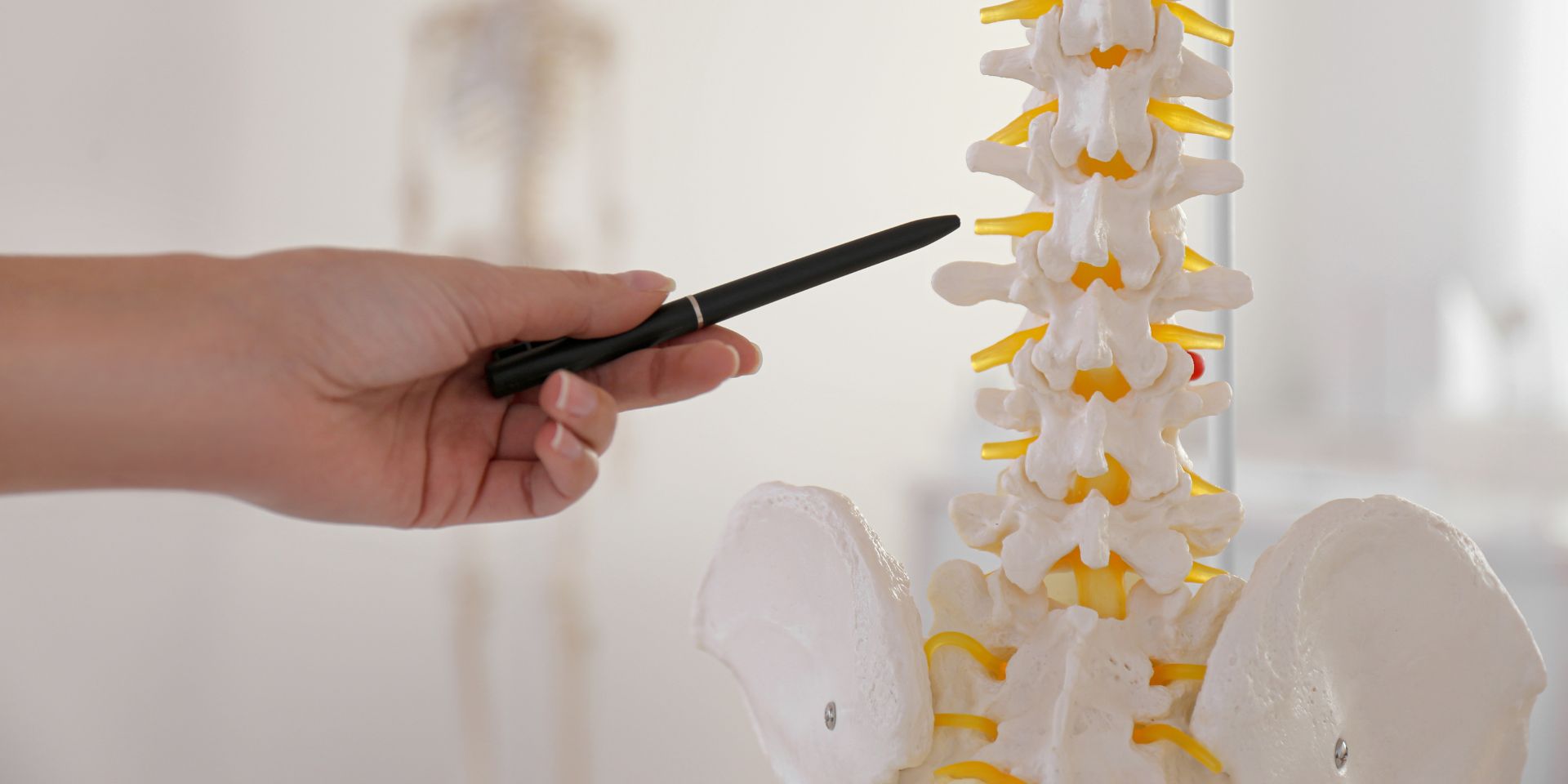 Manahawkin Chiropractic Center - Chiropractic in Long Beach, NJ, view 8