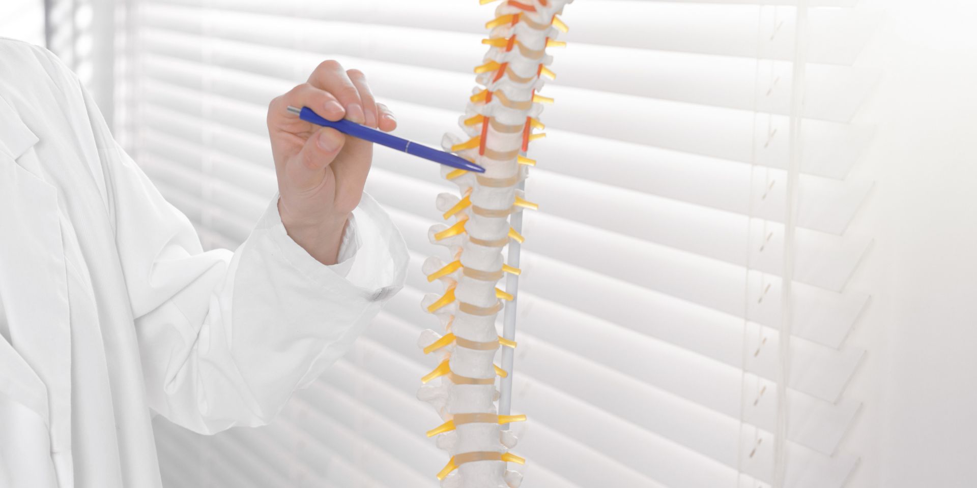 Manahawkin Chiropractic Center - Chiropractic in Long Beach, NJ, view 7