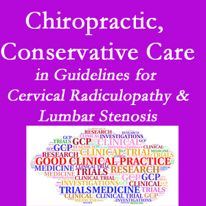 Manahawkin chiropractic care for cervical radiculopathy and lumbar spinal stenosis is often ignored in medical studies and guidelines despite documented benefits. 