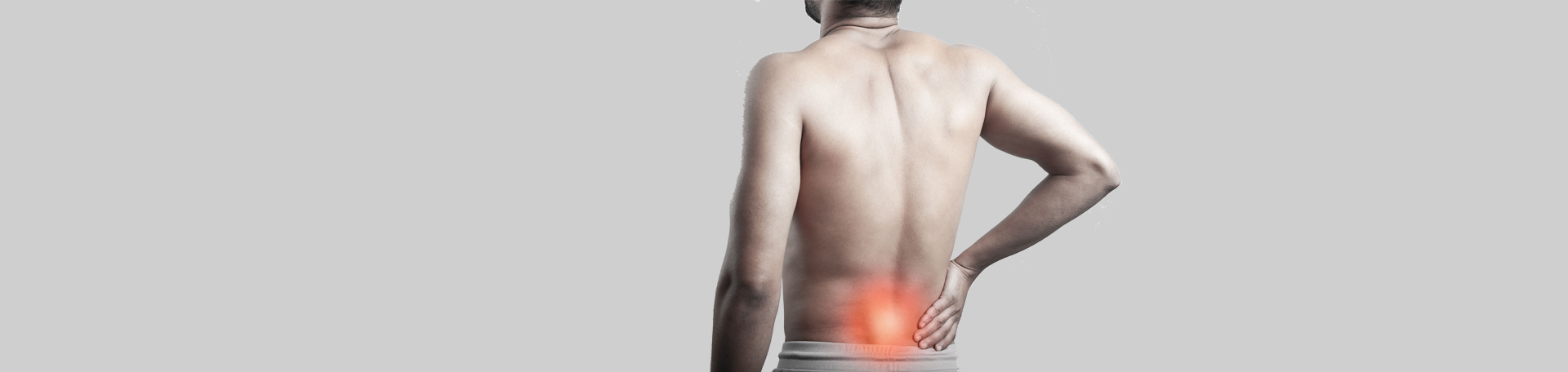 Manahawkin back paraspinal muscles