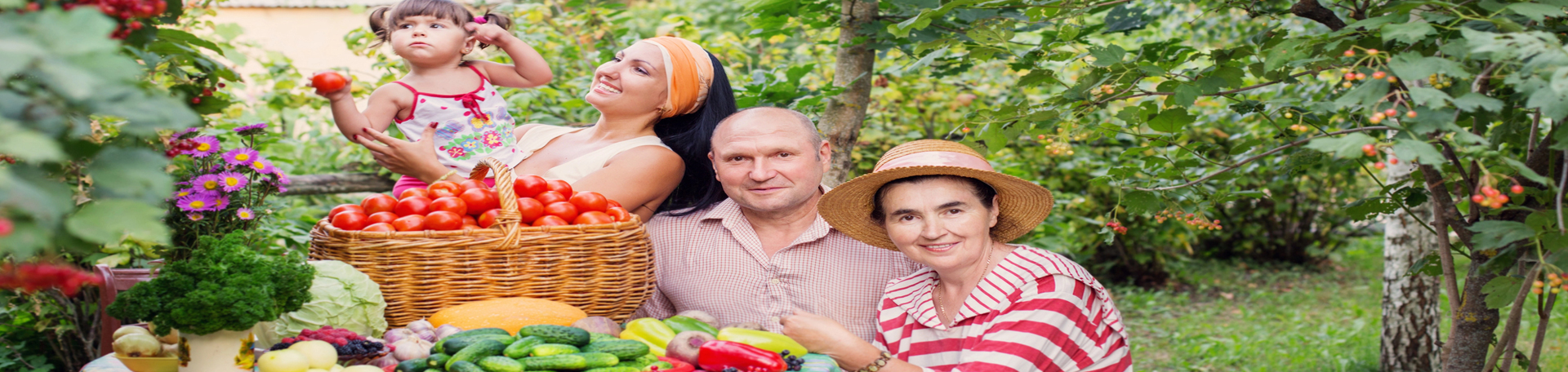 Manahawkin chiropractic summer health tips