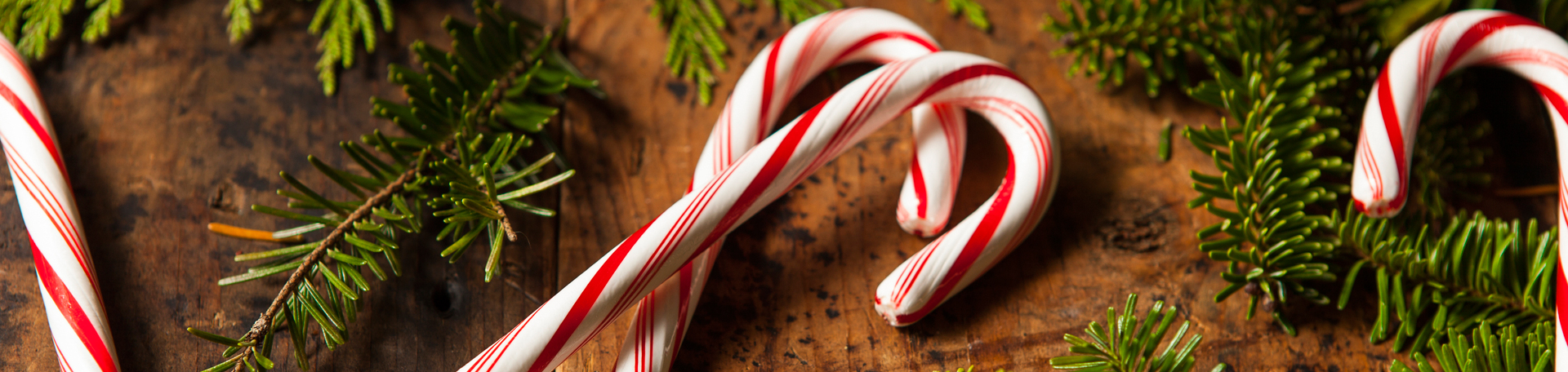 Peppermint for Manahawkin Cognition & Appetite Regulation!
