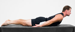 Along with your Manahawkin chiropractic care, you'll want to exercise your lumbar spine extensor muscles!