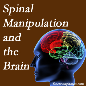 Manahawkin Chiropractic Center [presents research on the benefits of spinal manipulation for brain function. 