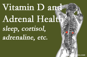 Manahawkin Chiropractic Center shares new studies about the effect of vitamin D on adrenal health and function.