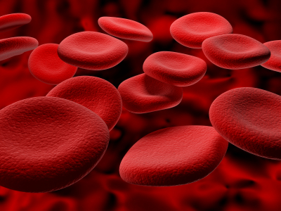 image of red blood platelets